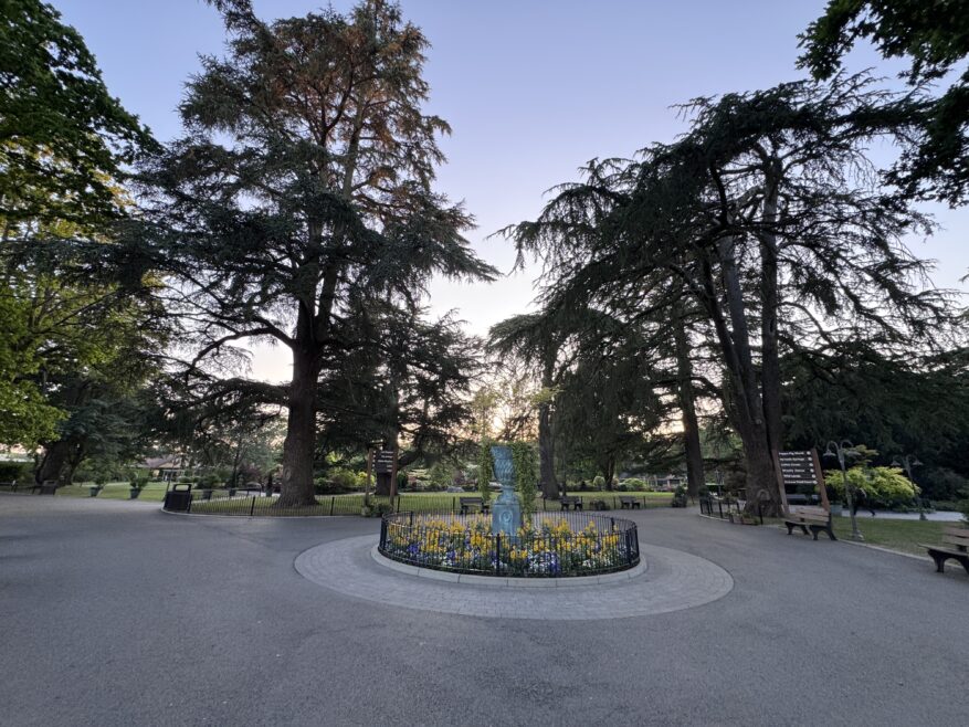 The view as you get into Paultons Park